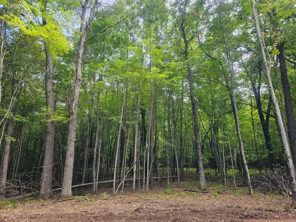 $33,500 | Lot 6 Ken Can Lane, Webster, WI 54893