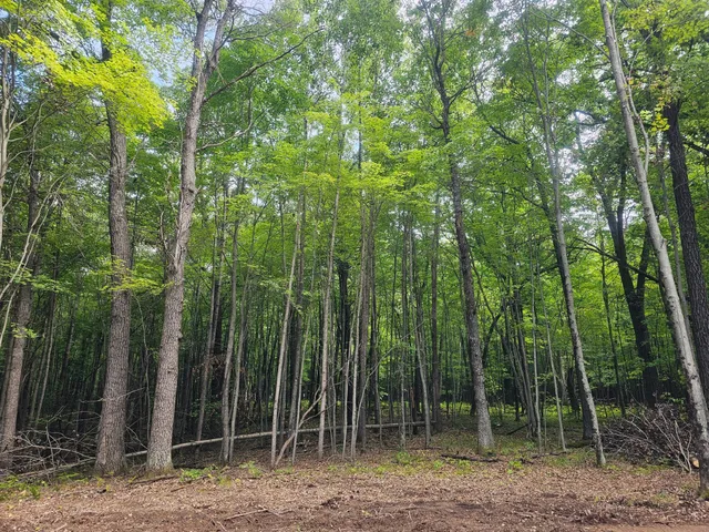 $33,500 | Lot 6 Ken Can Lane, Webster, WI 54893