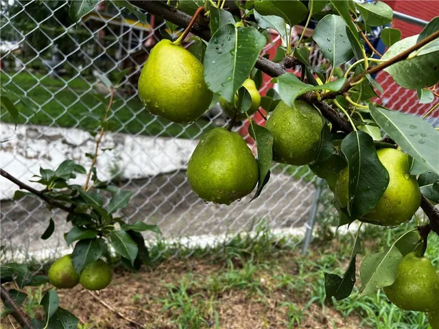 $169,000 | 3236 East 7th Street, Kansas City, MO 64124