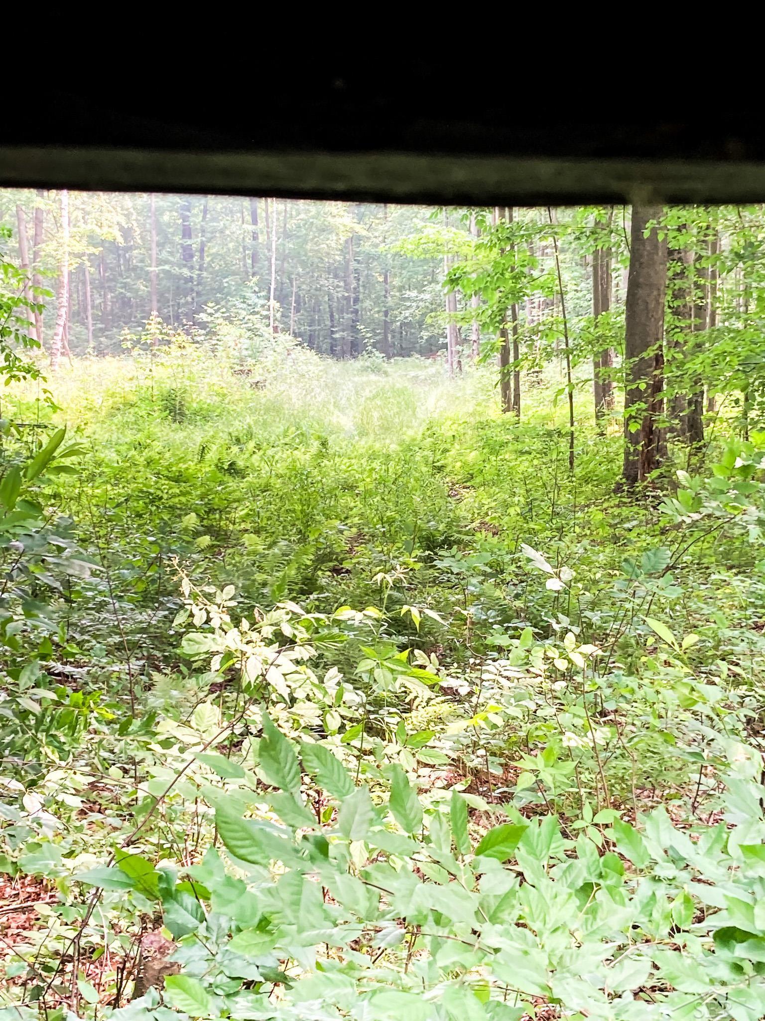 V/l East Bevens Road Caro, MI 48723 - Photo 6 of 41