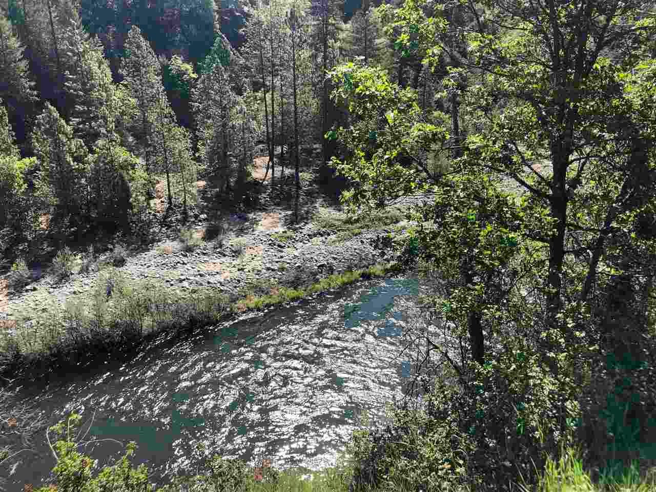 27136 Scott River Road Scott Bar, CA 96085 - Photo 6 of 27 Gallery Image 6