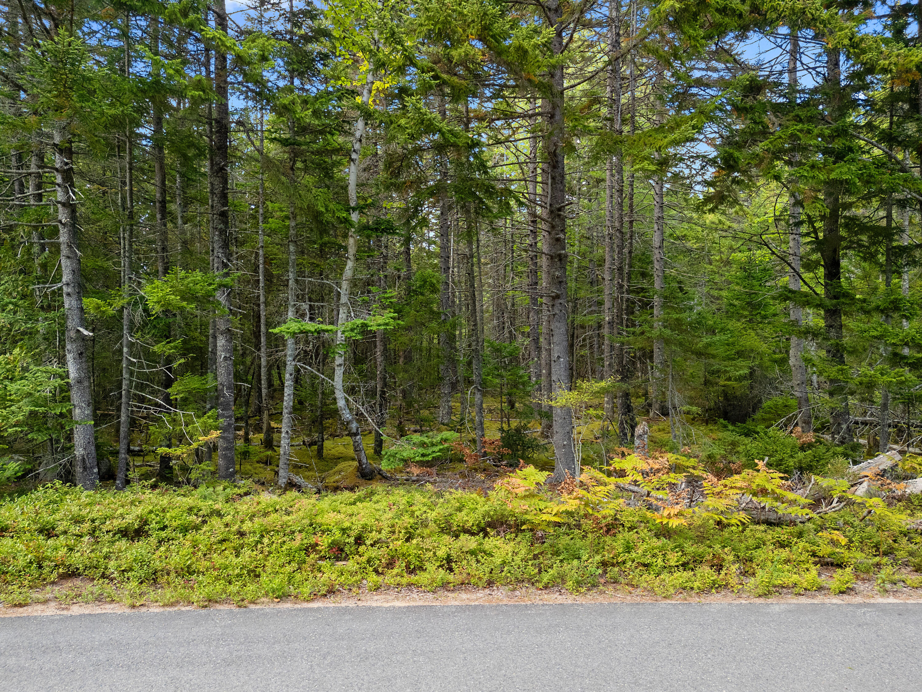 Lot 1 Peninsula Shore Road Corea, ME 04624 - Photo 12 of 23