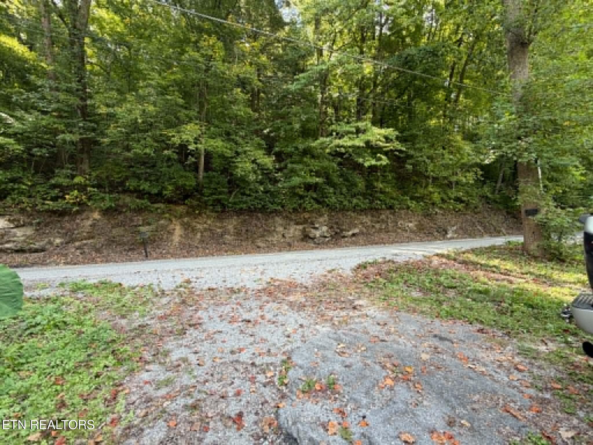 410 Ideal Valley Road Spring City, TN 37381 - Photo 8 of 23 0d4a3371-e405-4b6c-9bac-cf1964063903 (1)