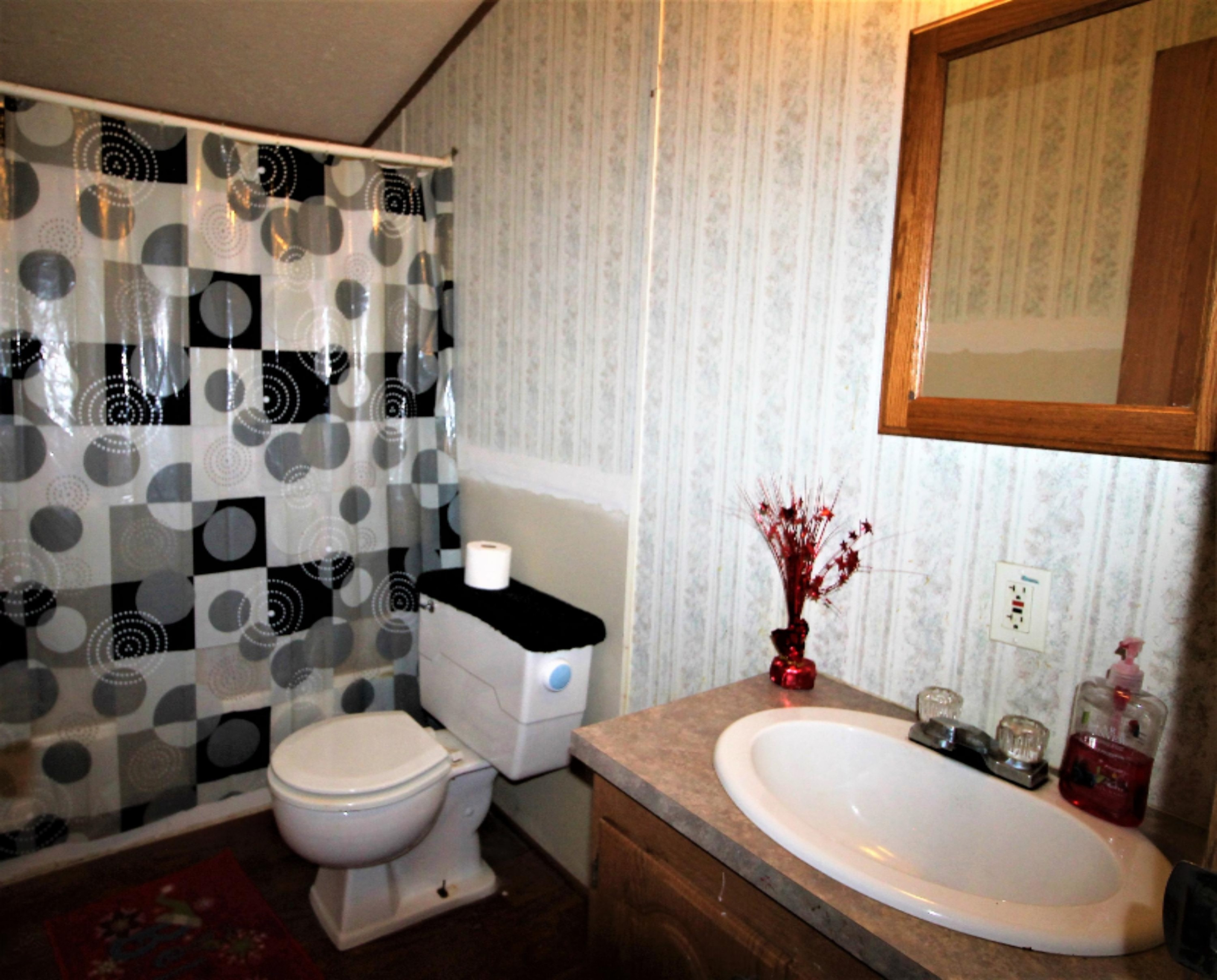 5705 Holland Road Sheridan, MI 48884 - Photo 12 of 14 10
