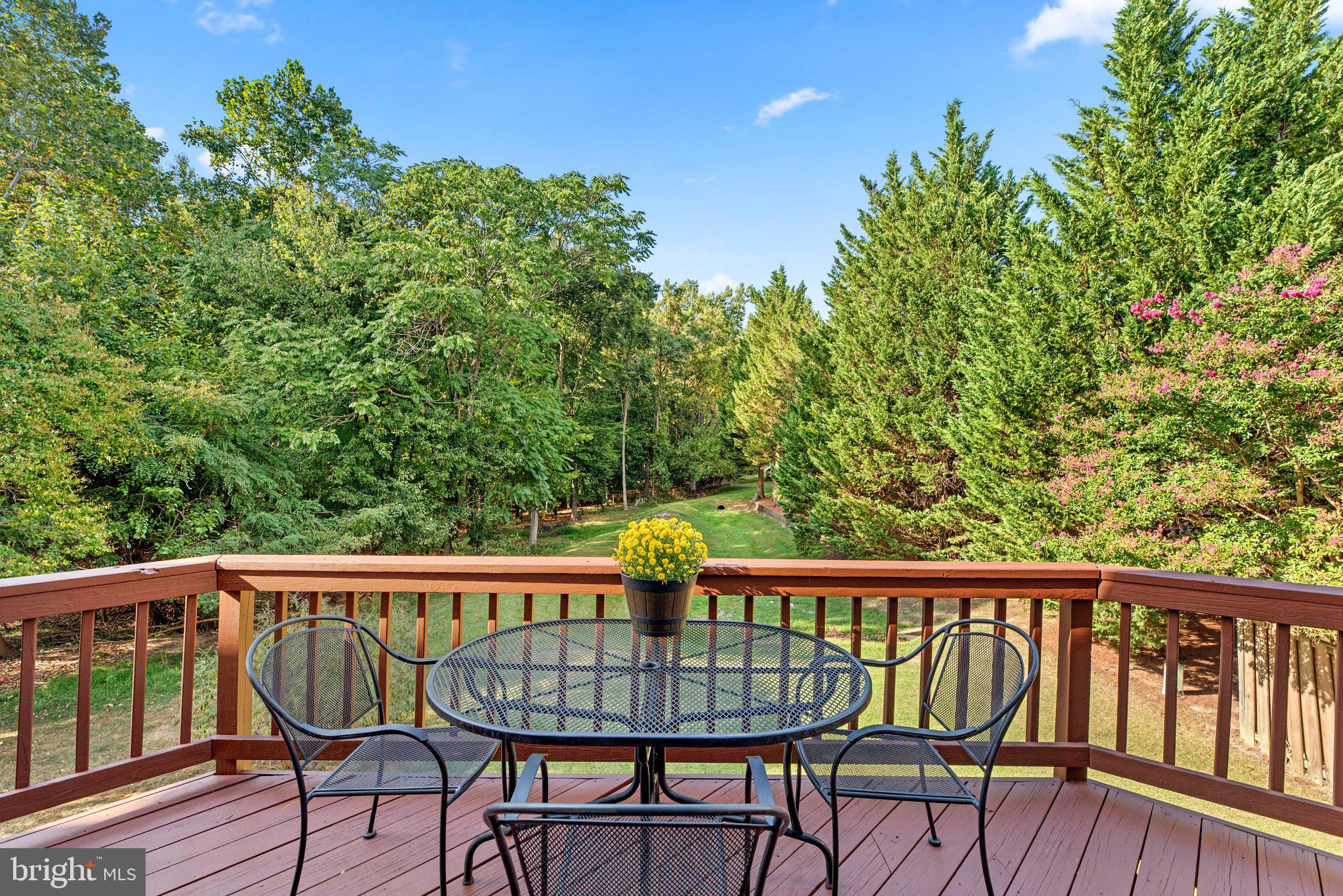 8008 Brightfield Road Ellicott City, MD 21043 - Photo 40 of 45 DECK