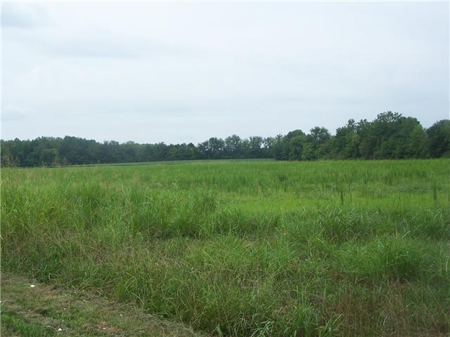 31985 Ardmore Ridge Road Ardmore, TN 38449 - Photo 1 of 1