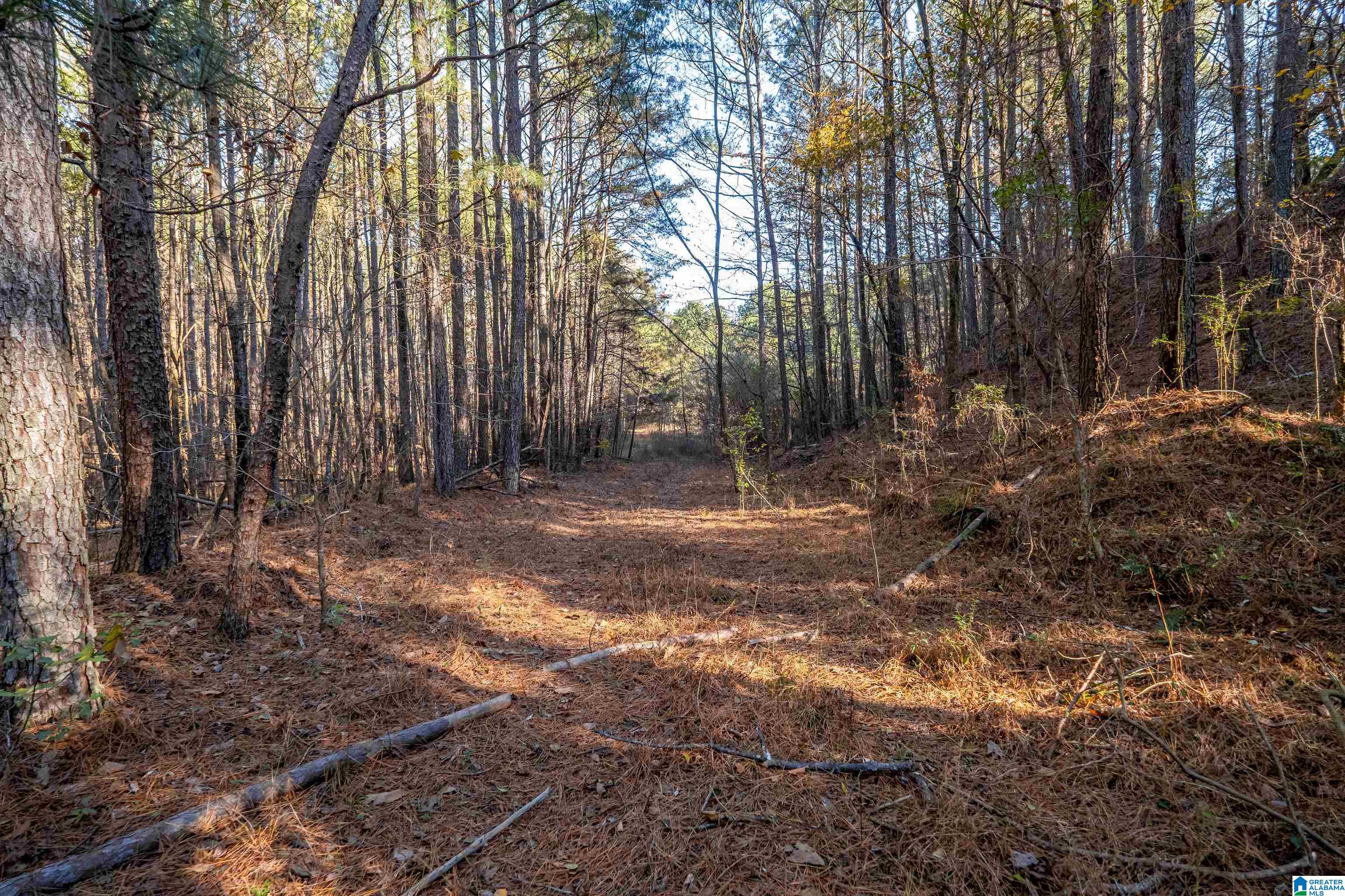 2040 Brookside Road, Unit 1 Mount Olive, AL 35117 - Photo 19 of 29
