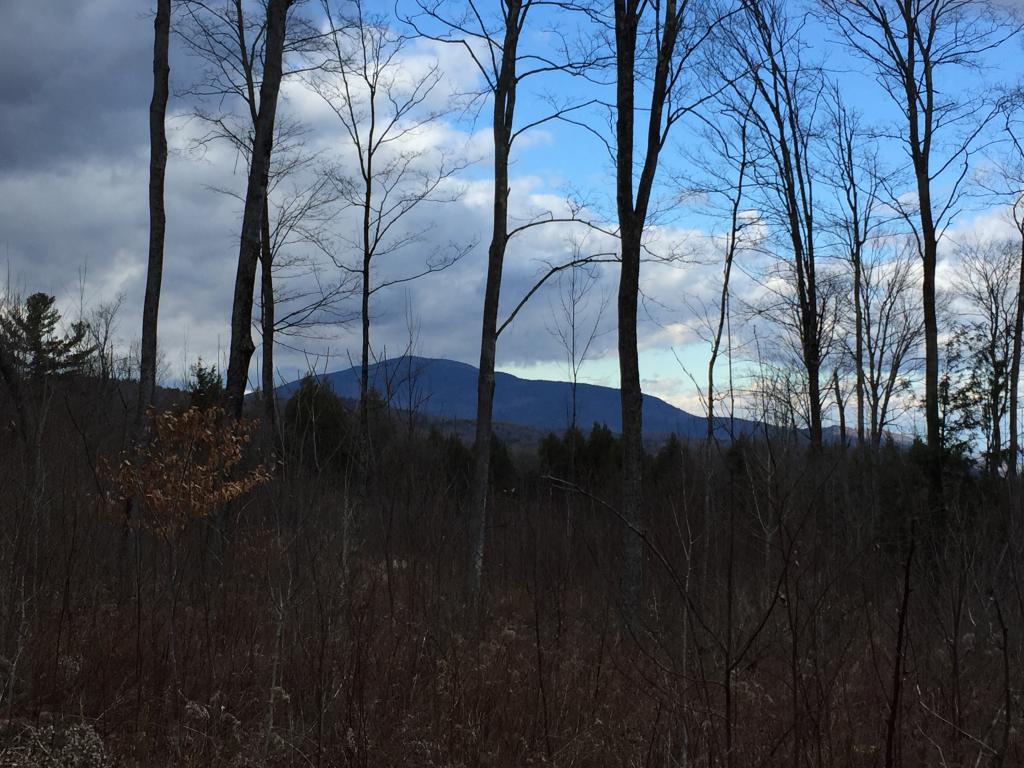 Lot #1 Old Bow Road Springfield, VT 05156 - Photo 1 of 10