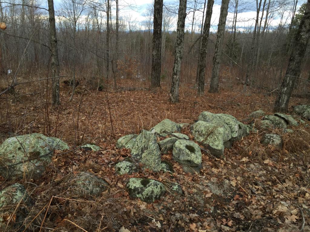 Lot #1 Old Bow Road Springfield, VT 05156 - Photo 5 of 10