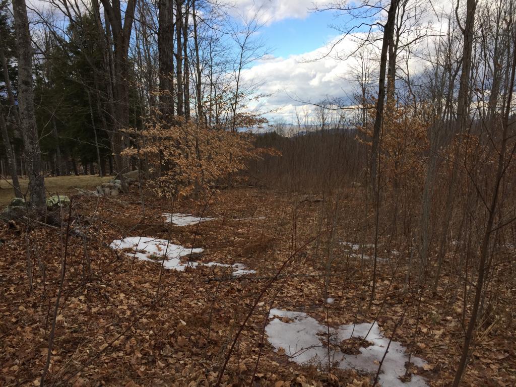 Lot #1 Old Bow Road Springfield, VT 05156 - Photo 6 of 10