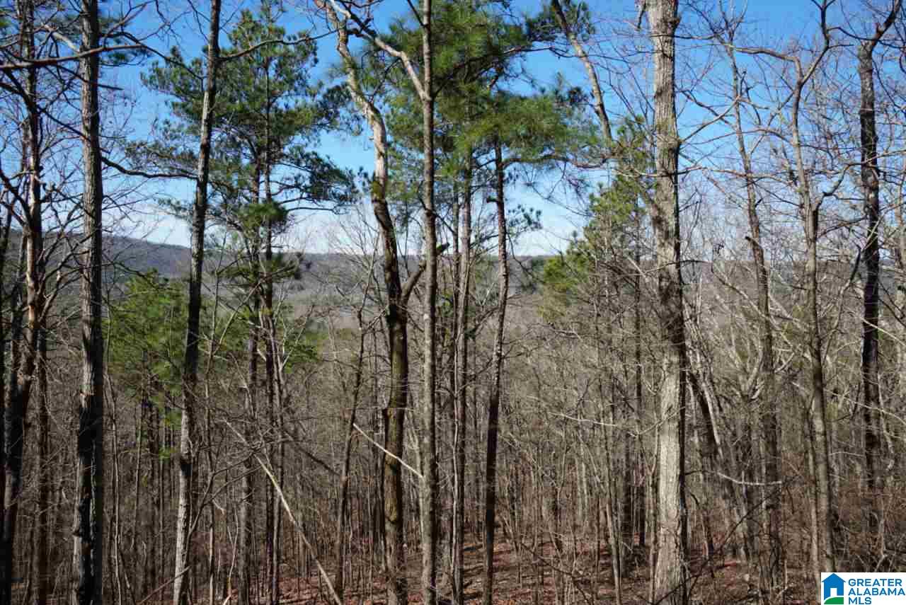 Mystic Valley View, Unit 1 Sterrett, AL 35147 - Photo 25 of 33