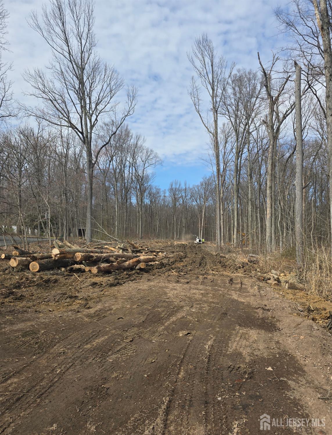 147-151 Major Road Monmouth Junction, NJ 08852 - Photo 2 of 4 a view of a yard with a large tree