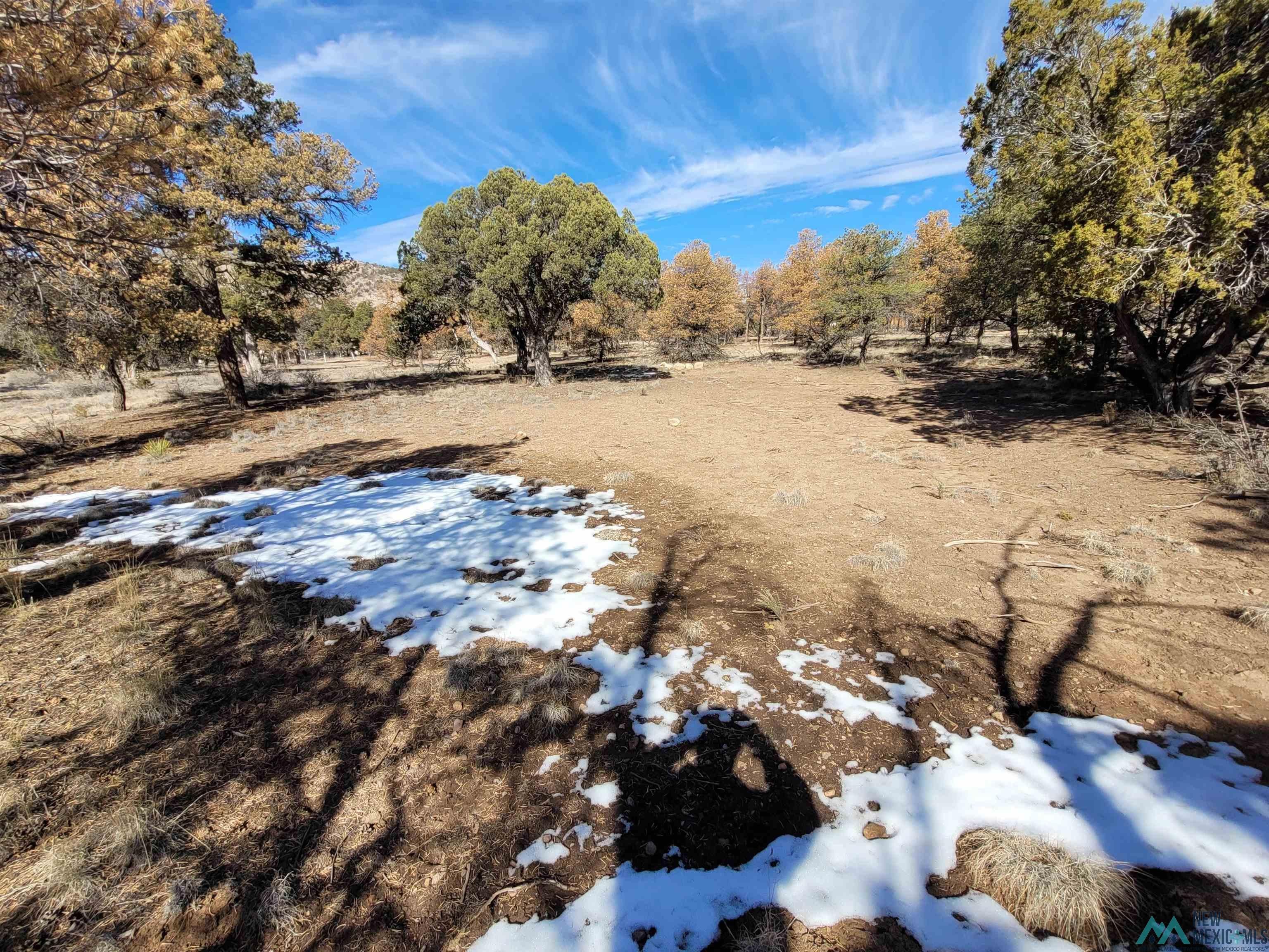 Xx Homestead Trail Datil, NM 87821 - Photo 10 of 20