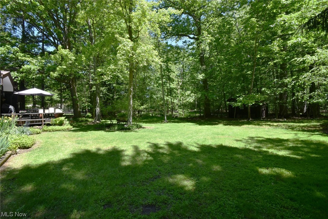 4259 Brainard Road Chagrin Falls, OH 44022 - Photo 31 of 32 Backyard with pond