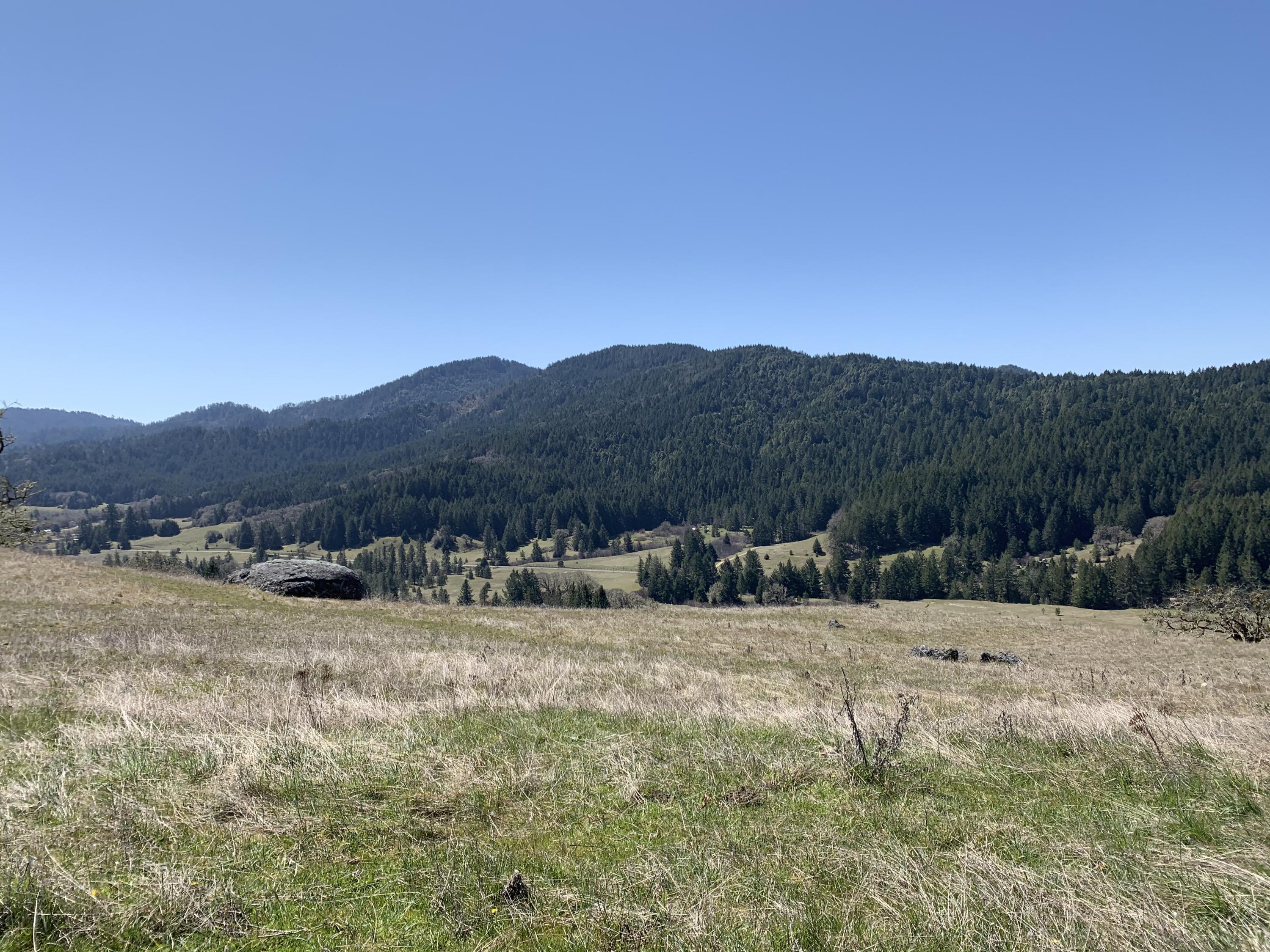 1700 Larabee Valley Road Bridgeville, CA 95526 - Photo 18 of 25