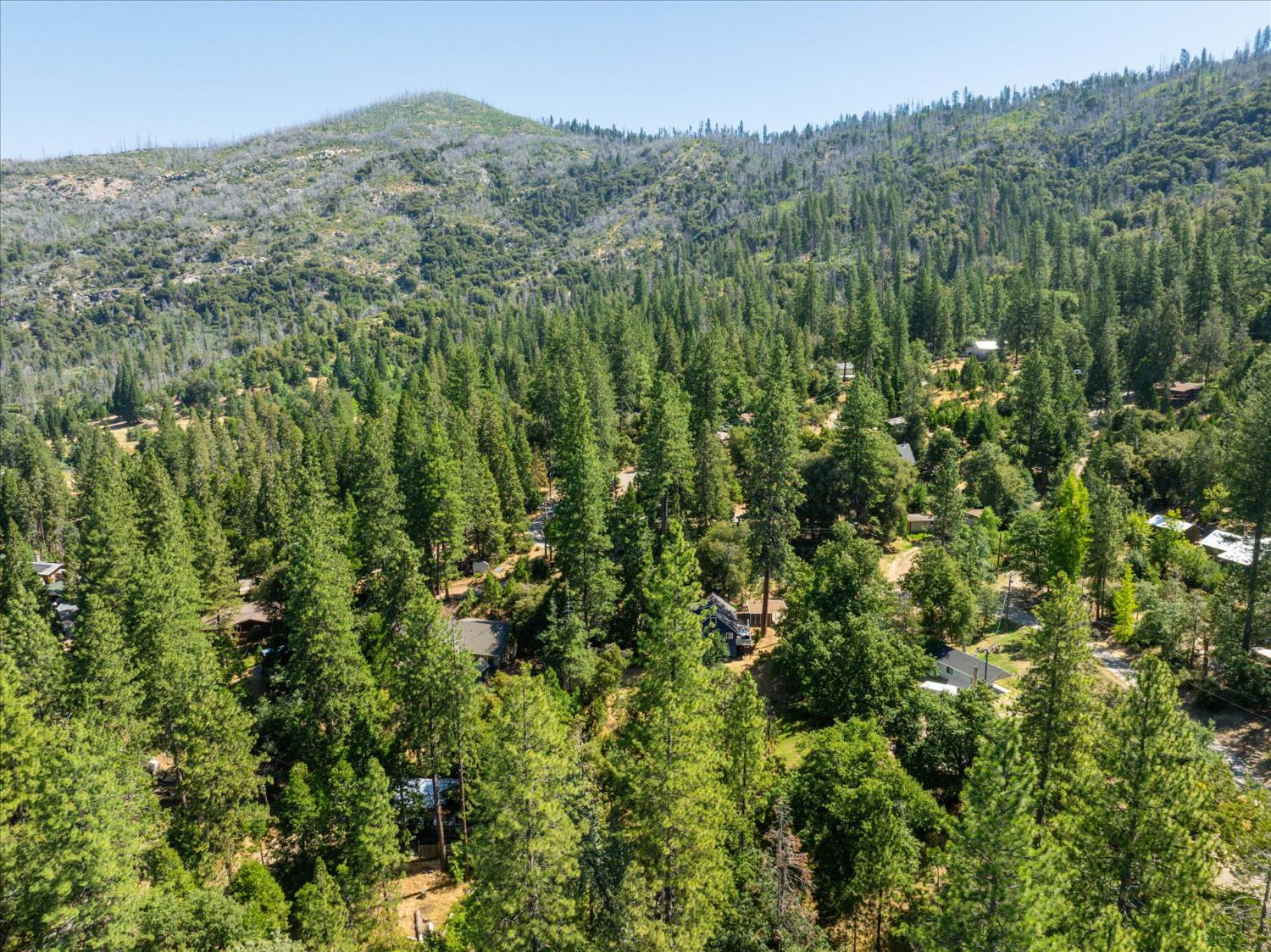44800 Mountain Meadow Road Oakhurst, CA 93644 - Photo 41 of 41 a view of a lush green forest with trees and some houses