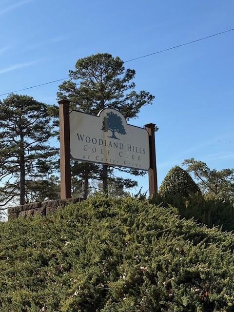 129 Summit Ridge Drive Southeast Cartersville, GA 30120 - Photo 24 of 27