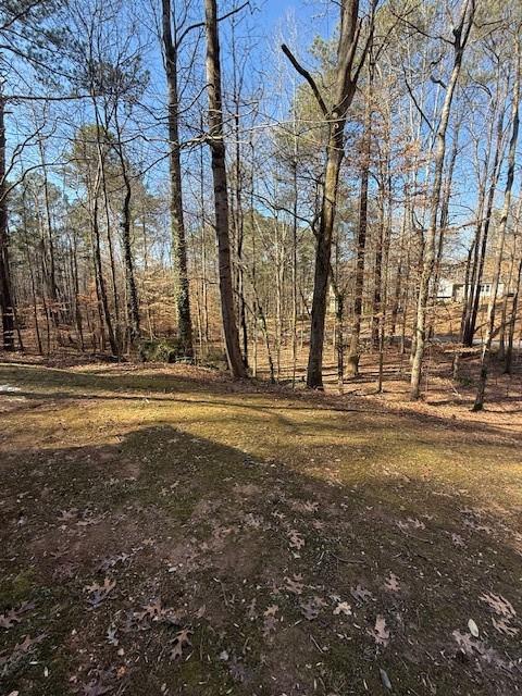 129 Summit Ridge Drive Southeast Cartersville, GA 30120 - Photo 9 of 27