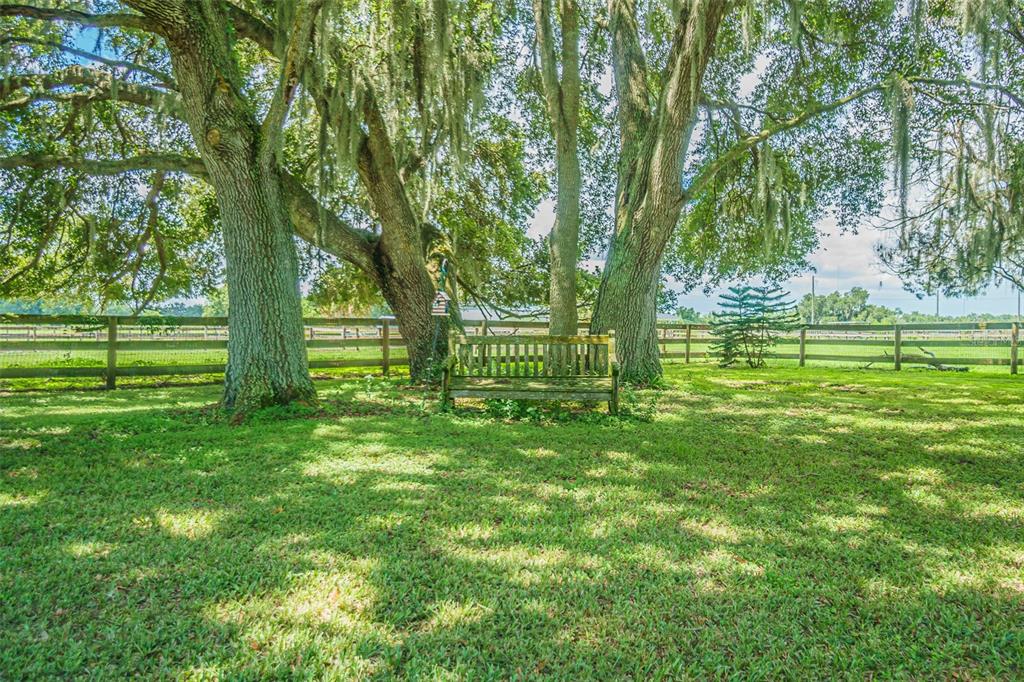 18125 Dorman Road Lithia, FL 33547 - Photo 32 of 56 Gallery Image 32