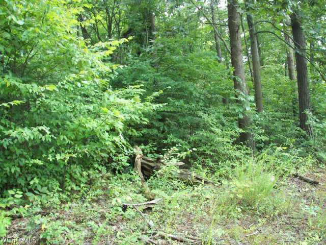 Xx Forge Mill Road King, NC 27021 - Photo 2 of 3 Other.