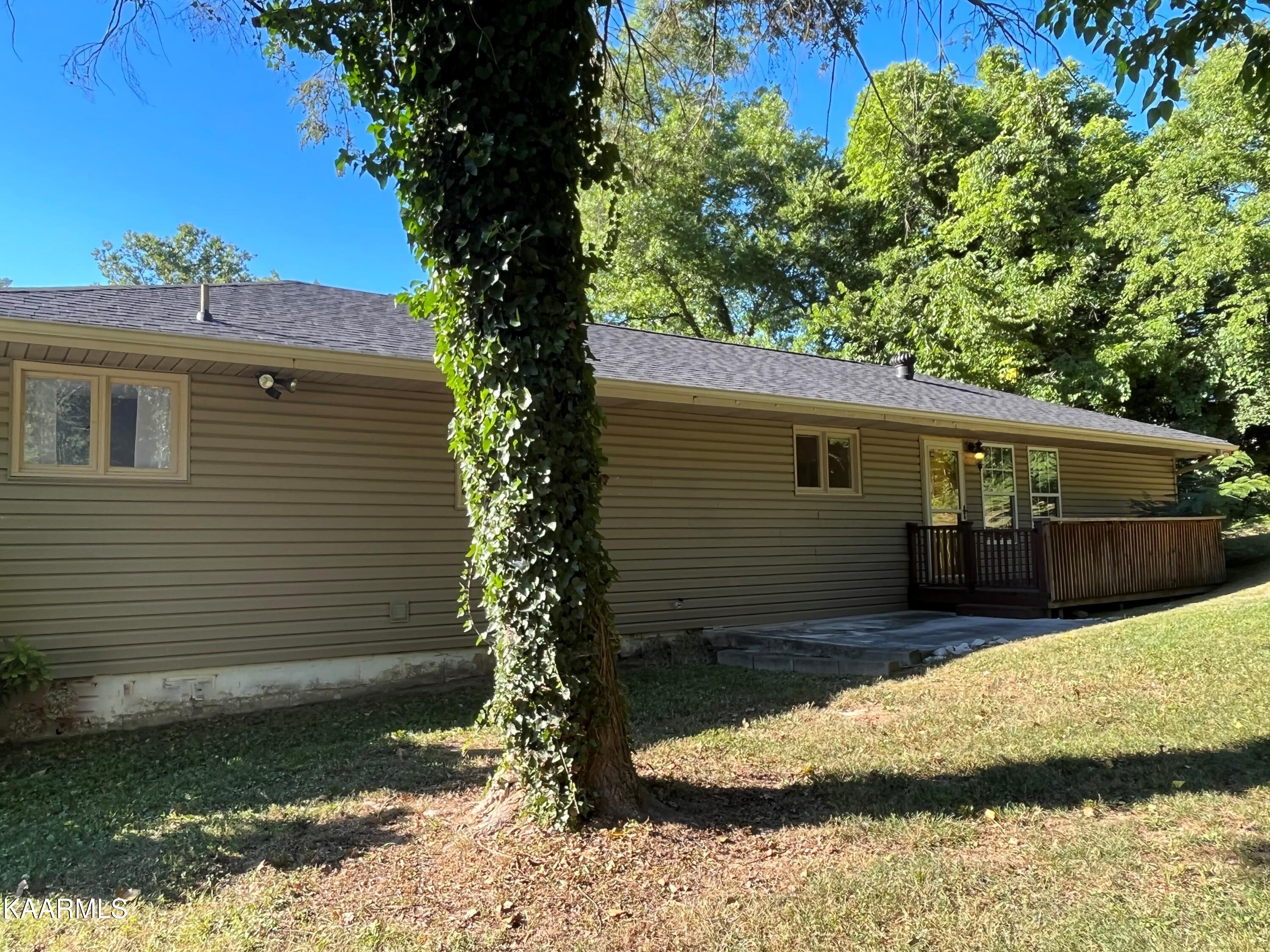 1530 Wilson Road Knoxville, TN 37912 - Photo 21 of 26 Rear