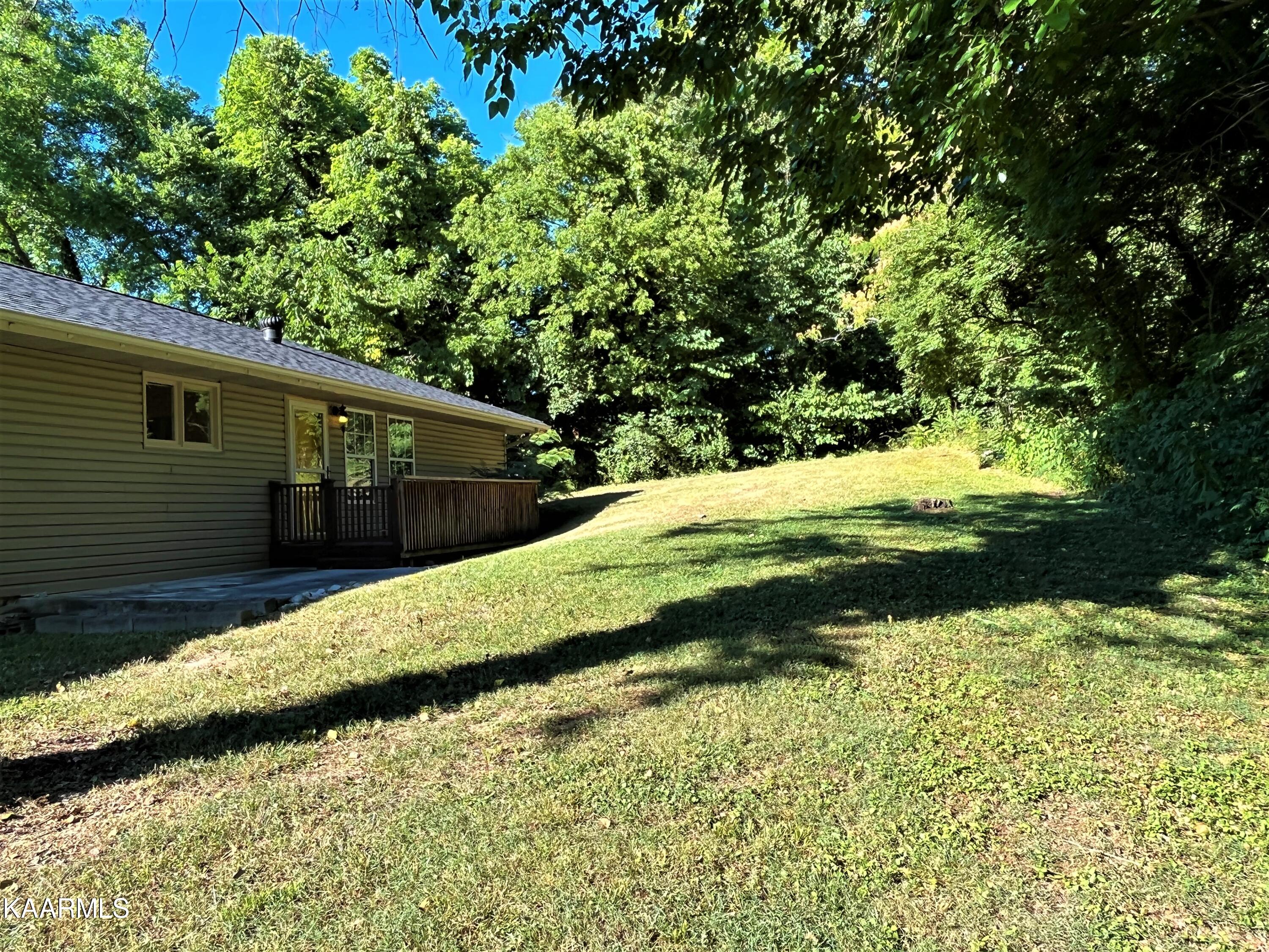 1530 Wilson Road Knoxville, TN 37912 - Photo 22 of 26 Rear