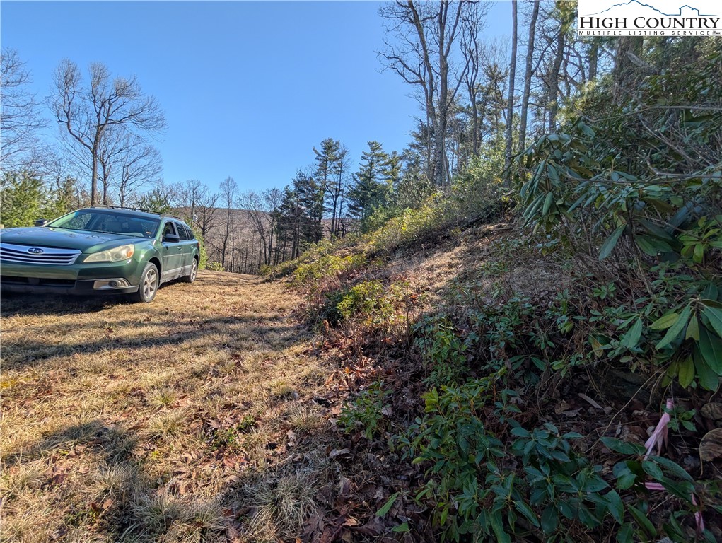718 Green Mountain Road Sparta, NC 28675 - Photo 5 of 15