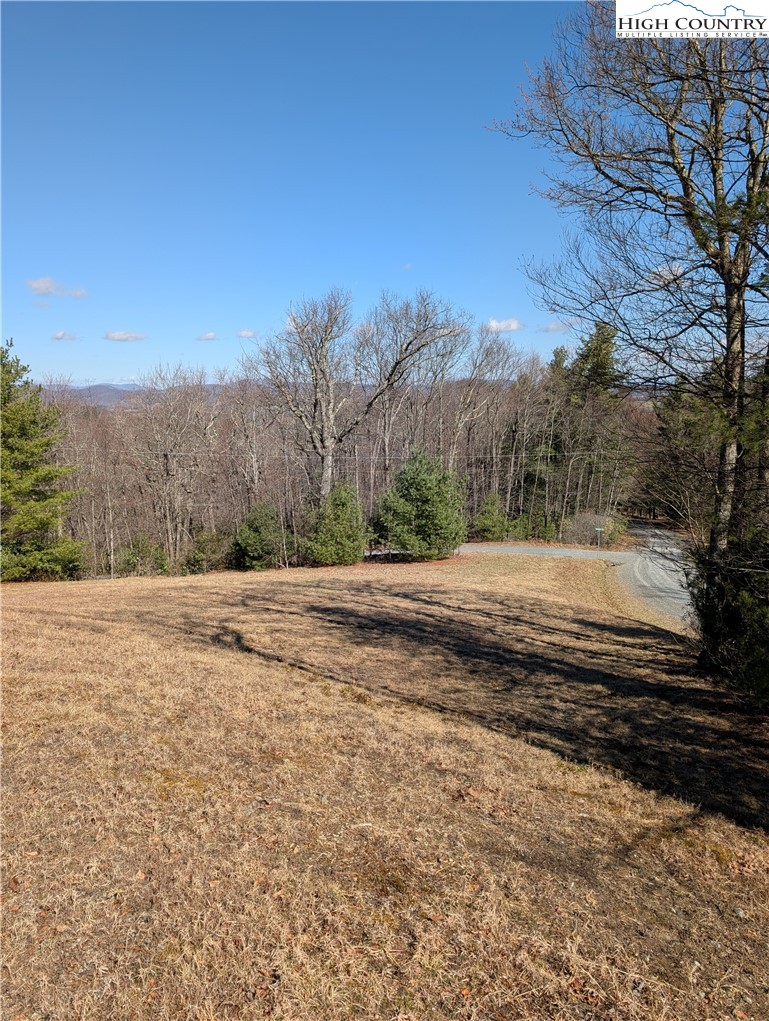 718 Green Mountain Road Sparta, NC 28675 - Photo 8 of 15