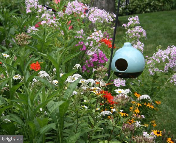 6615 Bowie Drive Springfield, VA 22150 - Photo 11 of 67