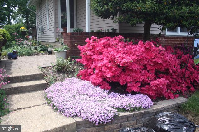 6615 Bowie Drive Springfield, VA 22150 - Photo 13 of 67