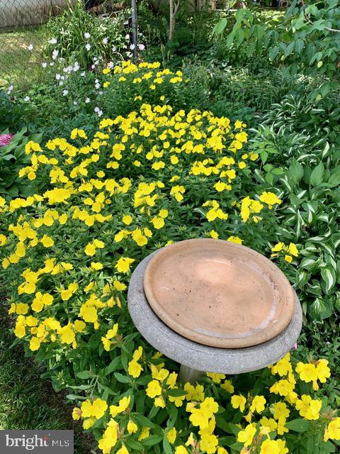 6615 Bowie Drive Springfield, VA 22150 - Photo 5 of 67