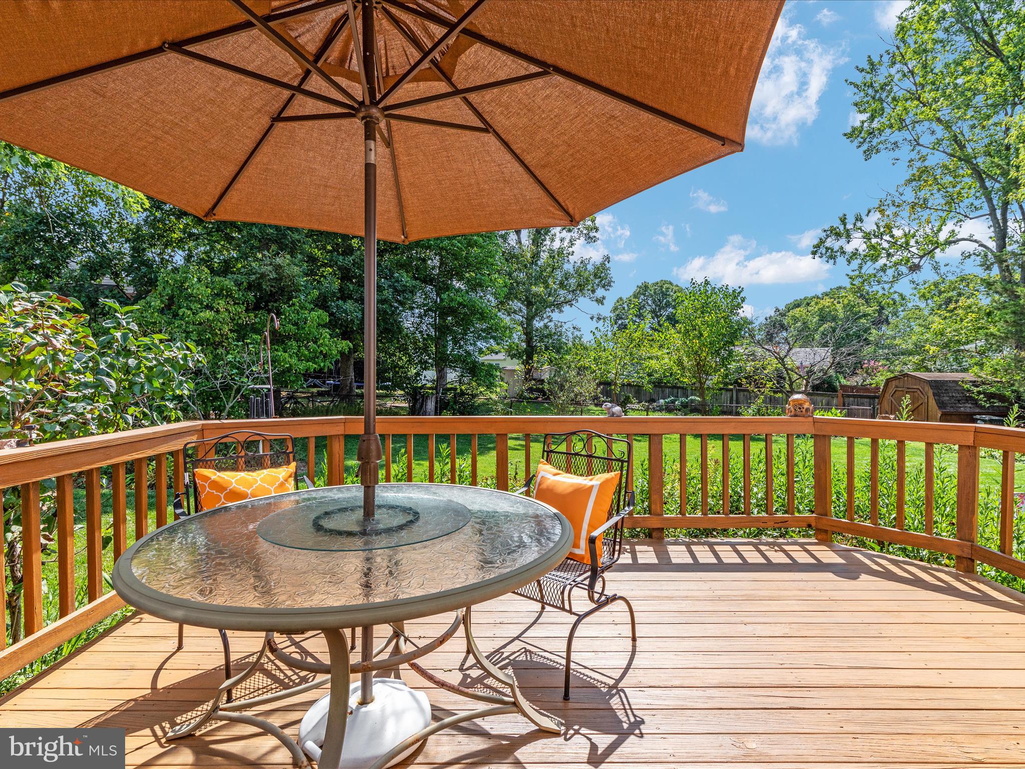 6615 Bowie Drive Springfield, VA 22150 - Photo 55 of 67 2E6A5382_6615 Bowie Dr - Absolute Altitude - 9 - 2