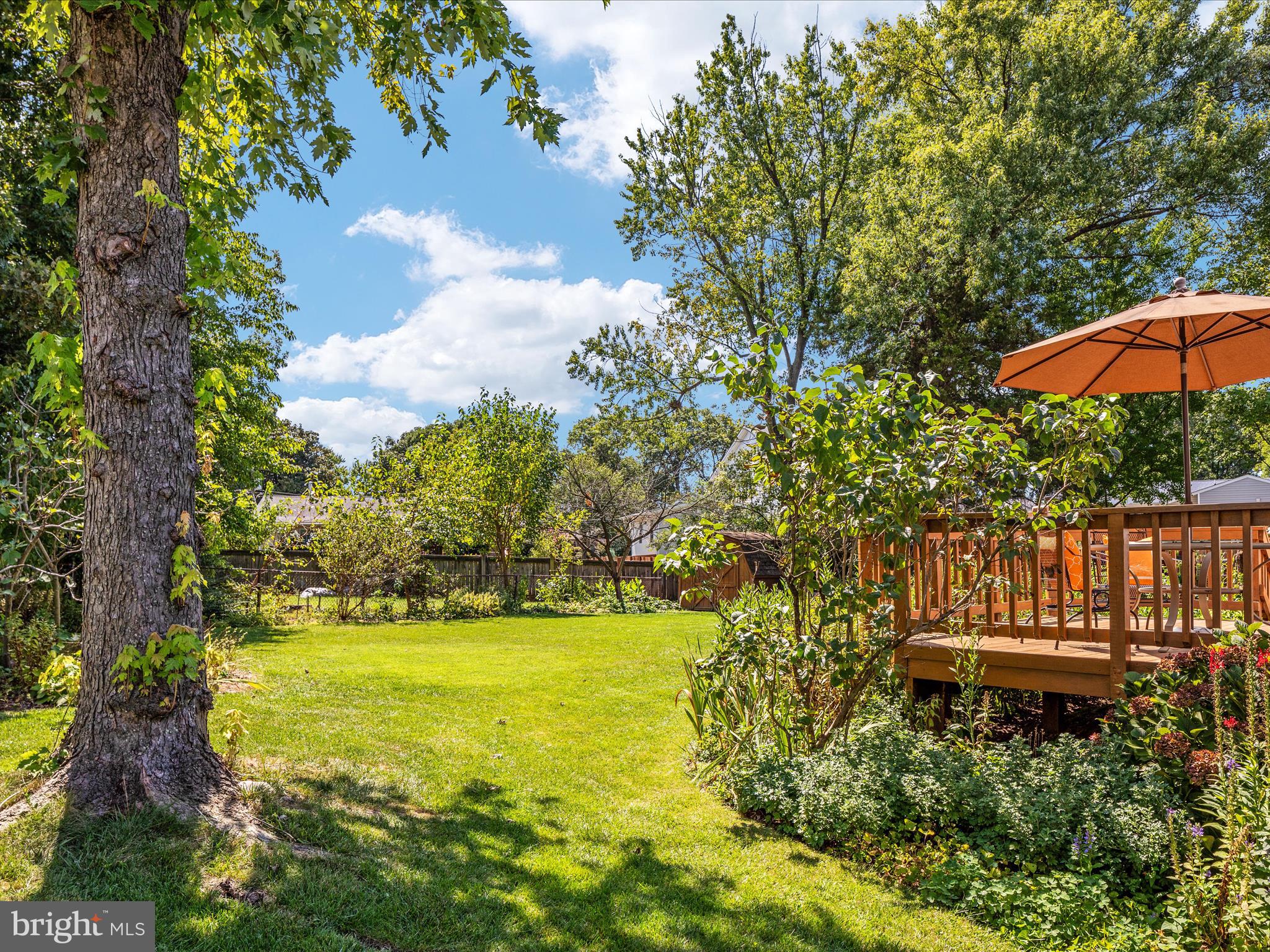 6615 Bowie Drive Springfield, VA 22150 - Photo 58 of 67 2E6A5390_6615 Bowie Dr - Absolute Altitude - 9 - 2