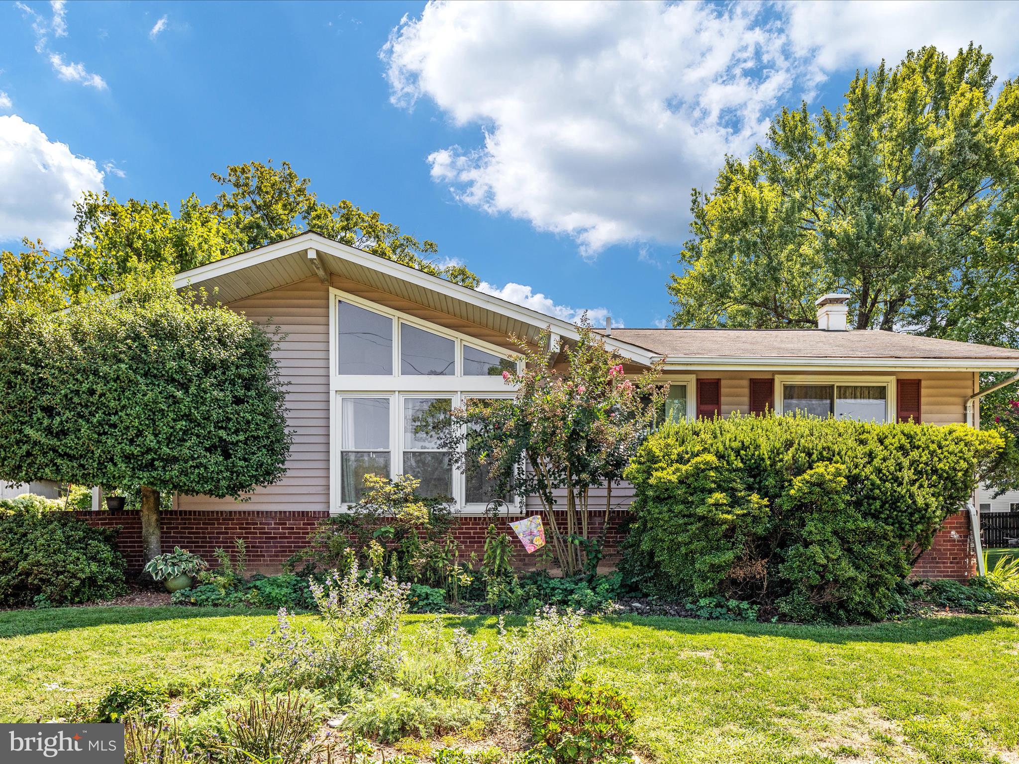 6615 Bowie Drive Springfield, VA 22150 - Photo 62 of 67 2E6A5411_6615 Bowie Dr - Absolute Altitude - 9 - 2