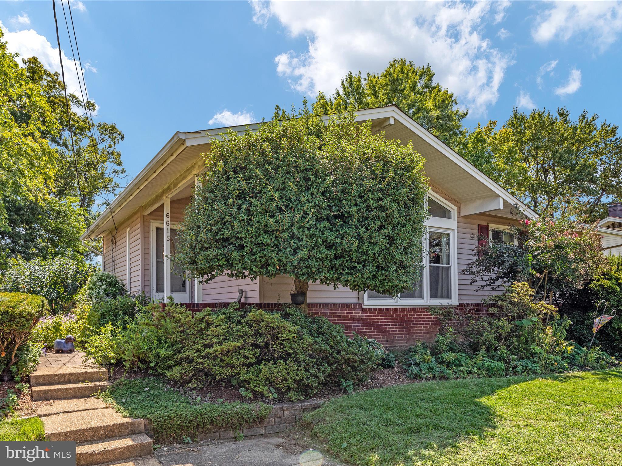 6615 Bowie Drive Springfield, VA 22150 - Photo 63 of 67 2E6A5421_6615 Bowie Dr - Absolute Altitude - 9 - 2