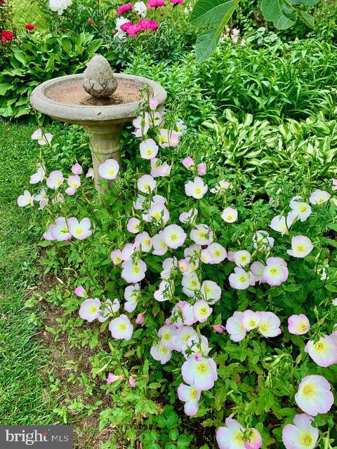 6615 Bowie Drive Springfield, VA 22150 - Photo 7 of 67