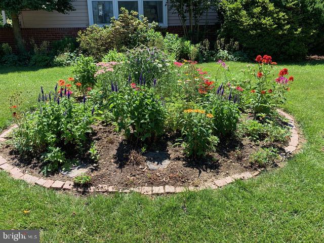 6615 Bowie Drive Springfield, VA 22150 - Photo 8 of 67