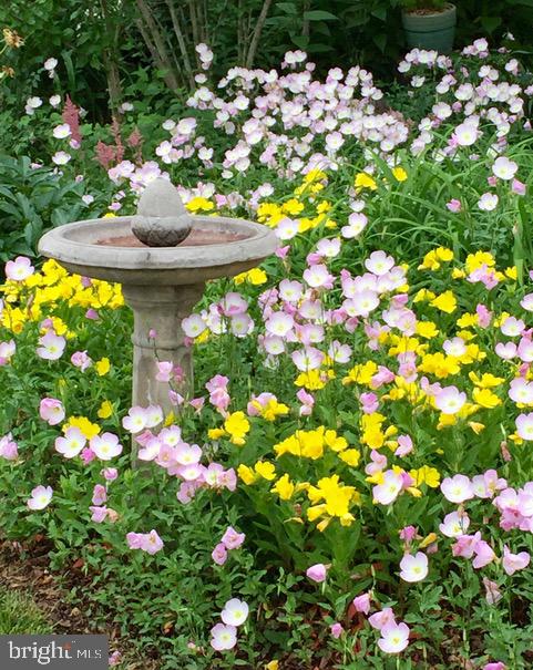 6615 Bowie Drive Springfield, VA 22150 - Photo 9 of 67