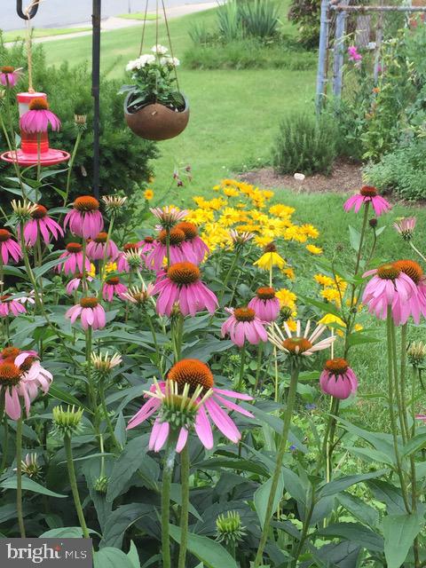 6615 Bowie Drive Springfield, VA 22150 - Photo 10 of 67