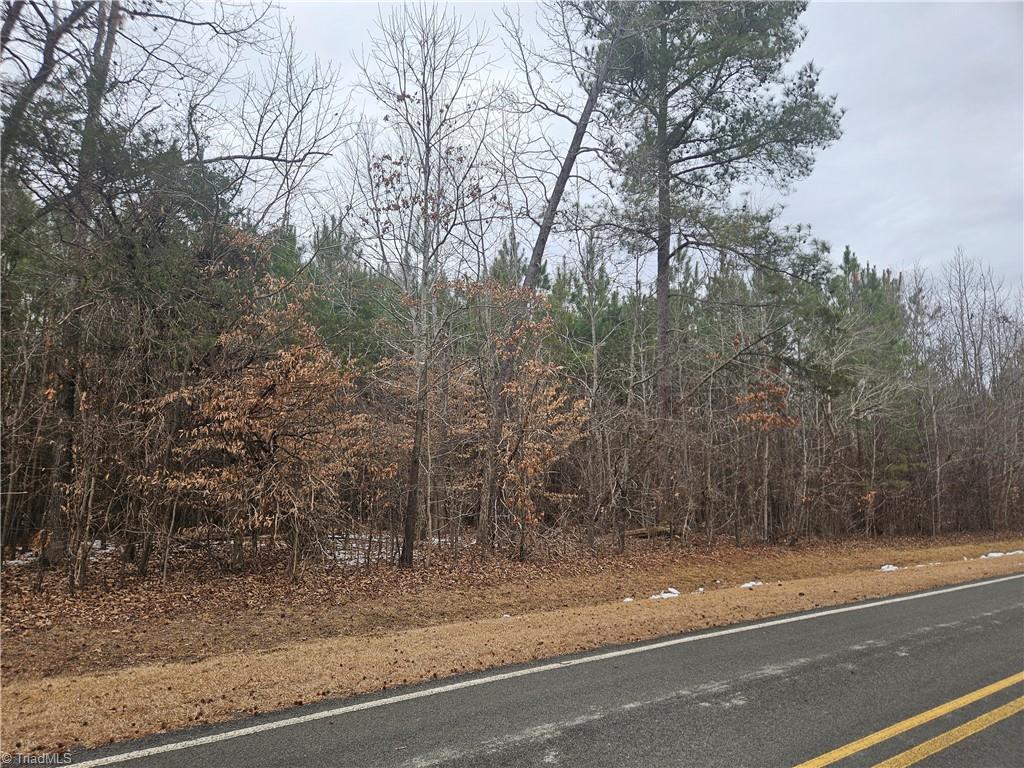 0 Drama Road Snow Camp, NC 27349 - Photo 2 of 6