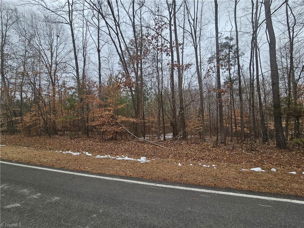 0 Drama Road Snow Camp, NC 27349 - Photo 3 of 6