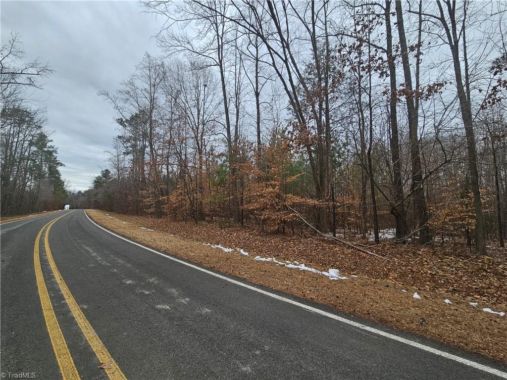 0 Drama Road Snow Camp, NC 27349 - Photo 5 of 6