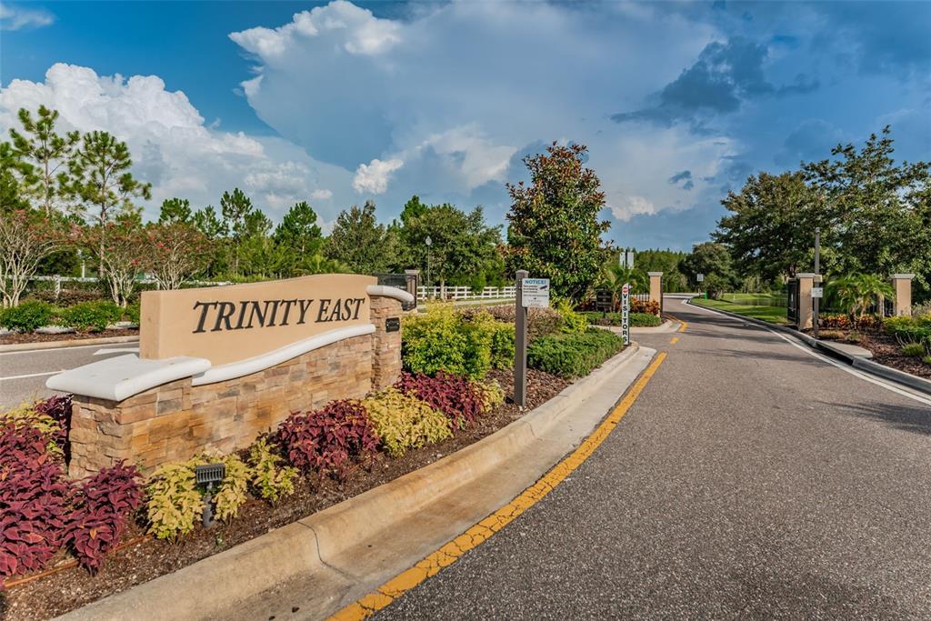 1345 Halapa Way Trinity, FL 34655 - Photo 80 of 93
