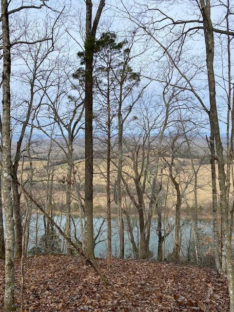 Lot 10 River Road, Unit 10 Decatur, TN 37322 - Photo 1 of 3 Kyle 2