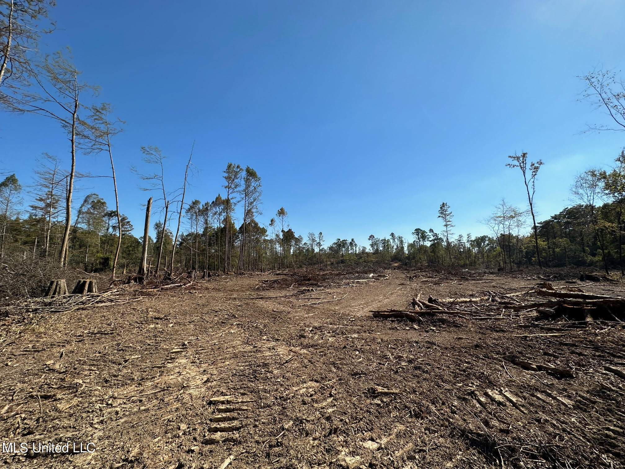 4101 County Road Sallis, MS 39160 - Photo 11 of 46 20