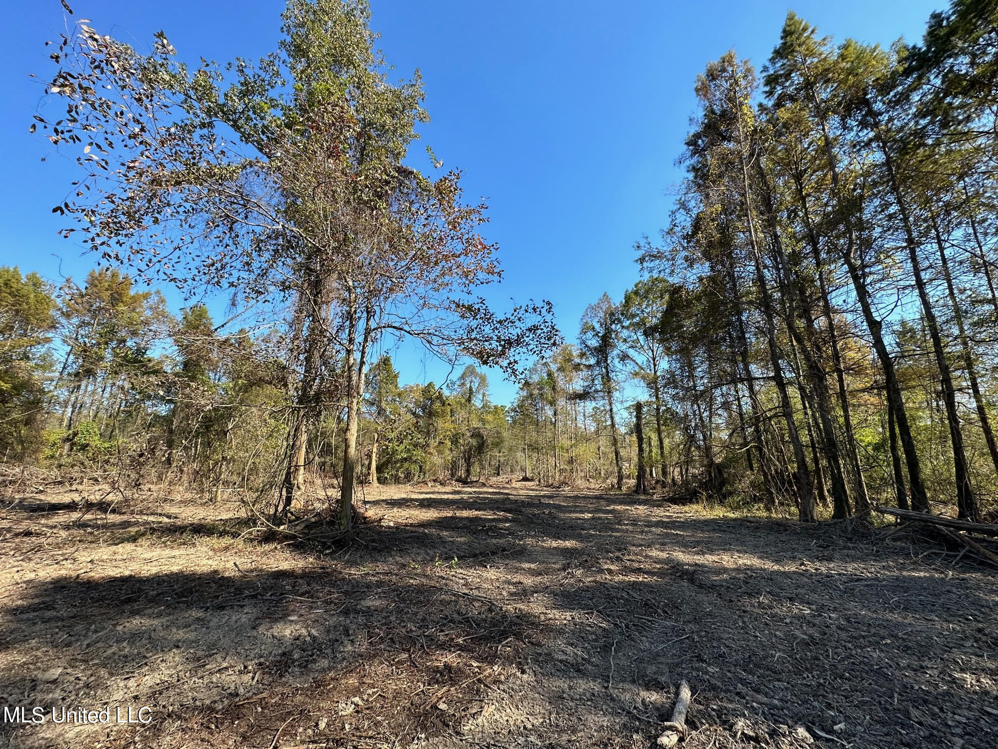4101 County Road Sallis, MS 39160 - Photo 12 of 46 21