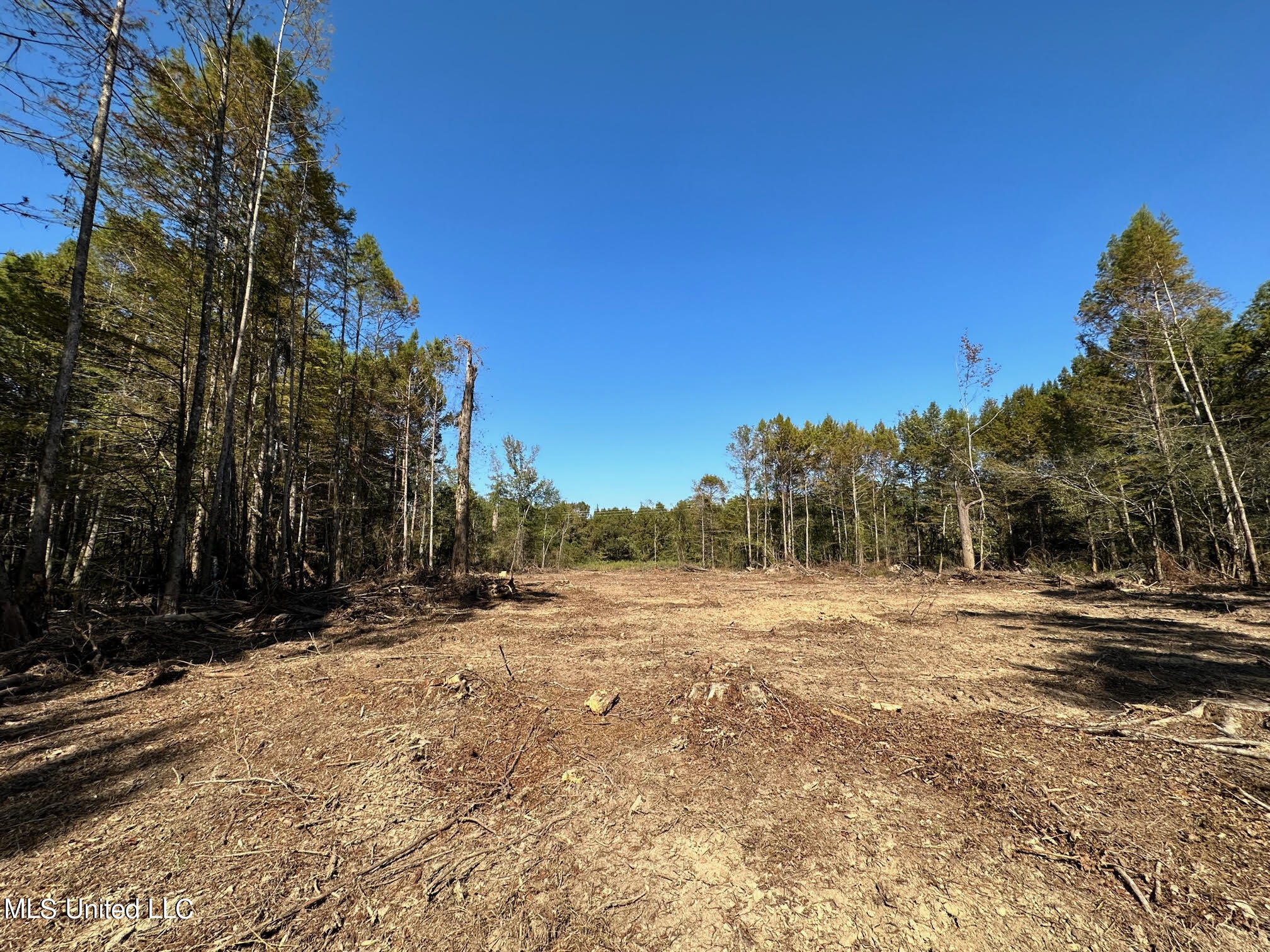 4101 County Road Sallis, MS 39160 - Photo 14 of 46 23