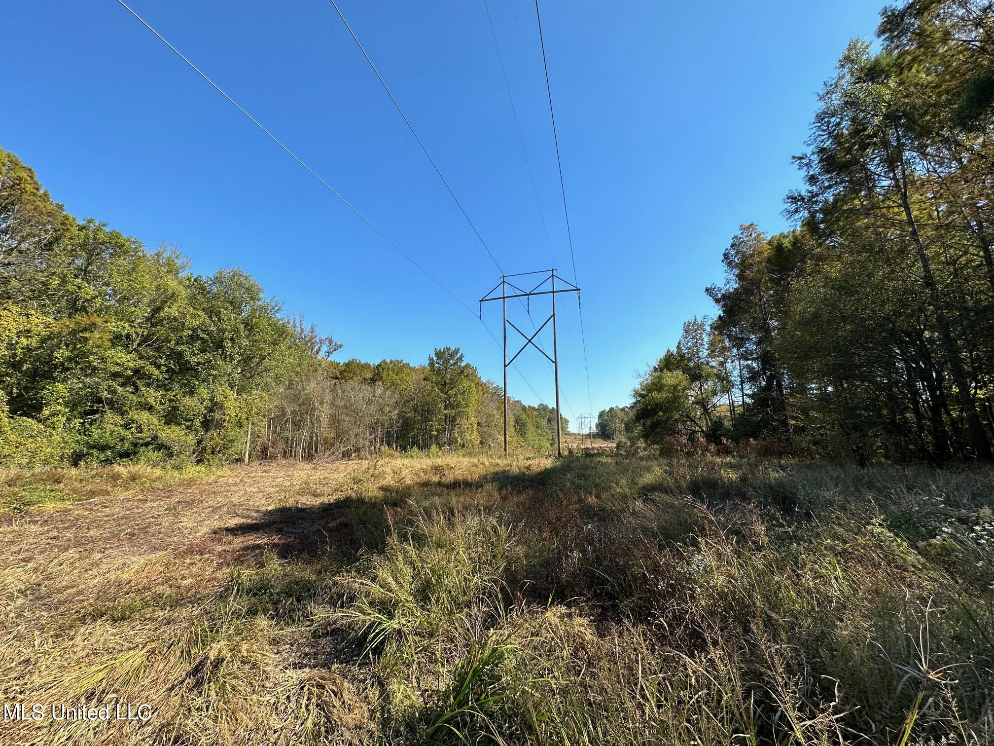 4101 County Road Sallis, MS 39160 - Photo 18 of 46 27