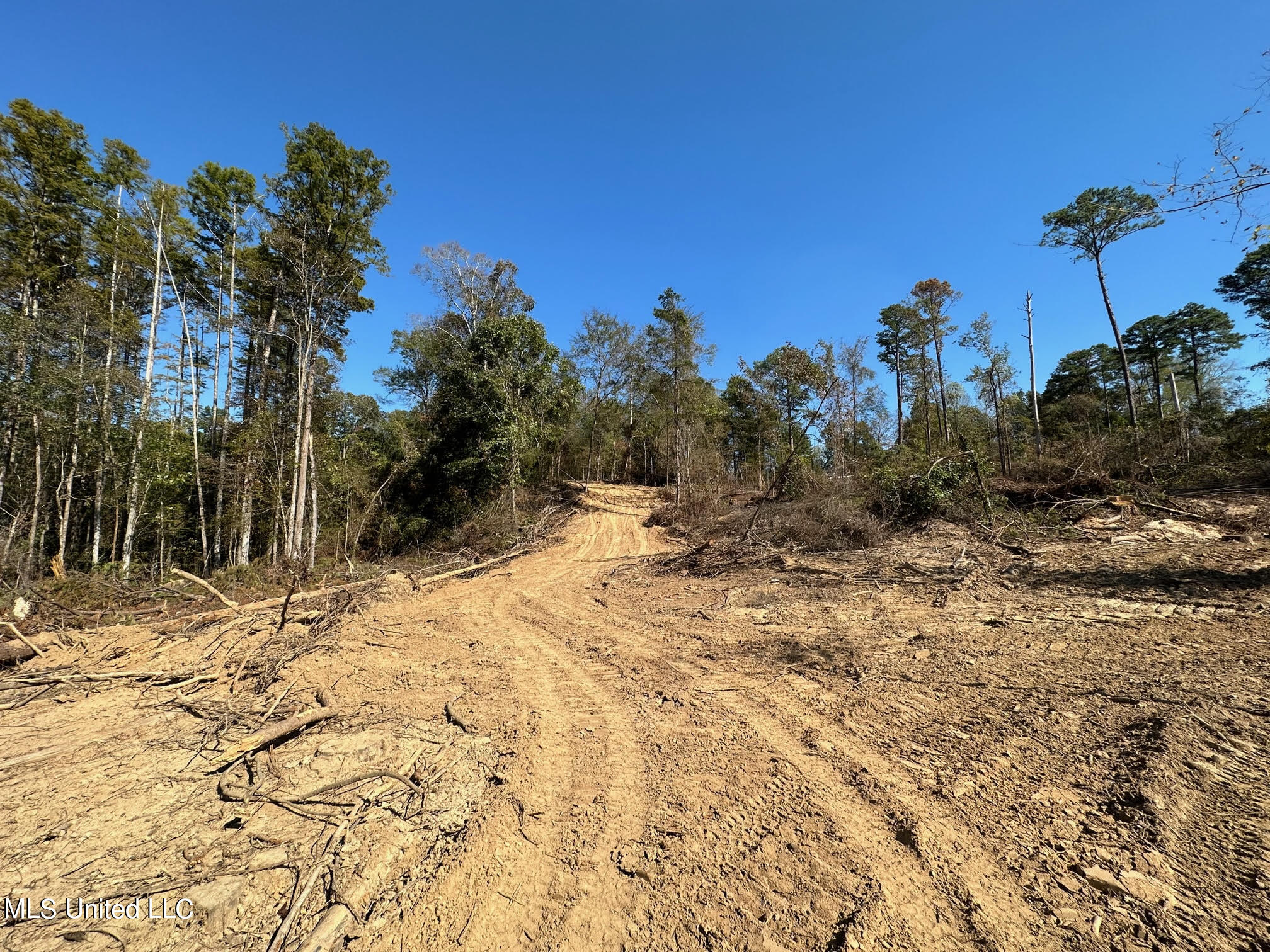 4101 County Road Sallis, MS 39160 - Photo 20 of 46 29