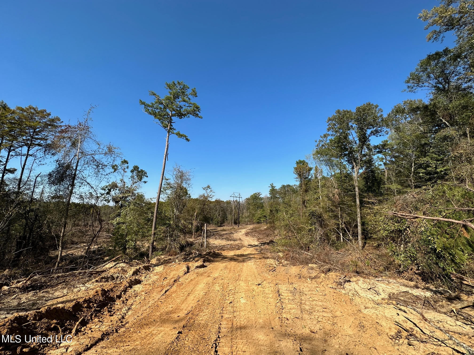 4101 County Road Sallis, MS 39160 - Photo 21 of 46 30